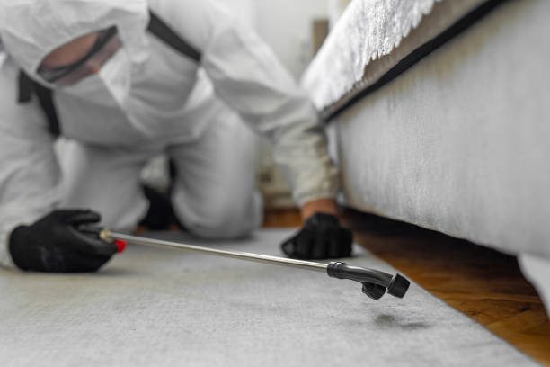 Professional Pest Control technician working in Lee County County, TX